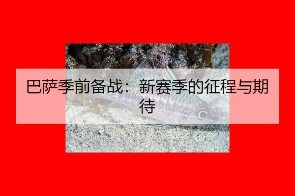 巴萨季前备战：新赛季的征程与期待